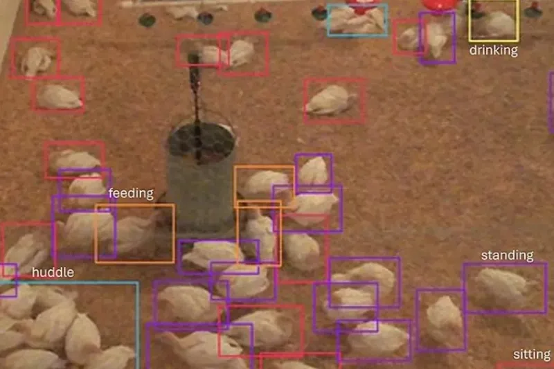 dronykurník-855x570_do