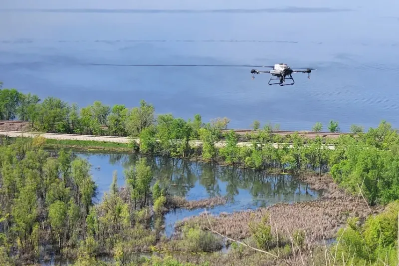 komáři1-855x570_do textu