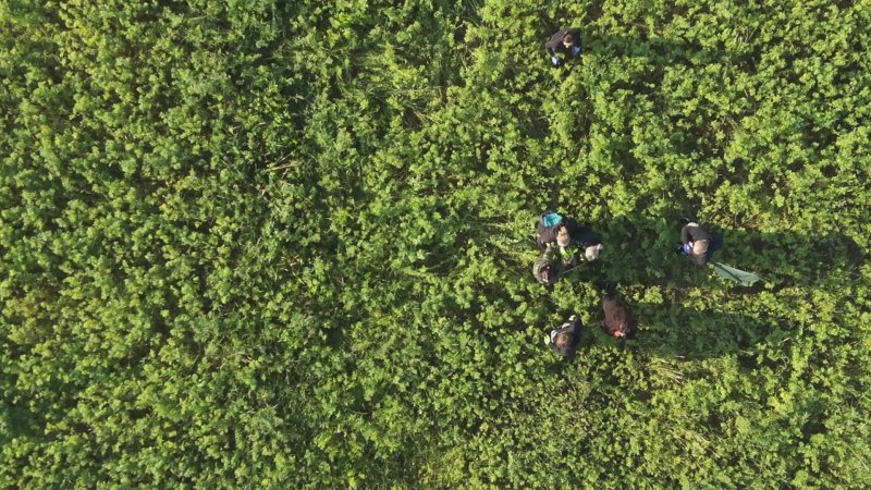 dronpro_senoseč 03_1