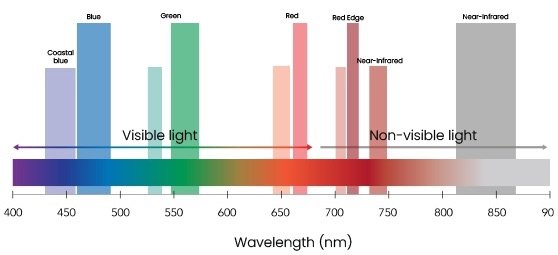 RedEdge-P-dual-bands-square