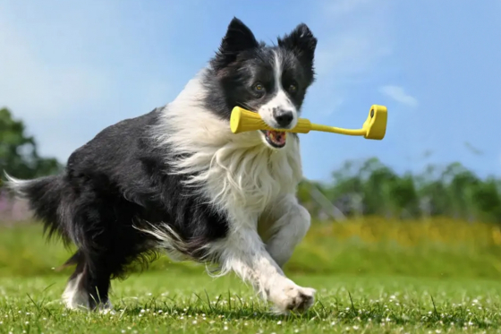 Aportovací tyč na kameru Insta360 GO 3