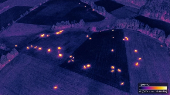 001_aerial-thermal-view-of-czech-grassland