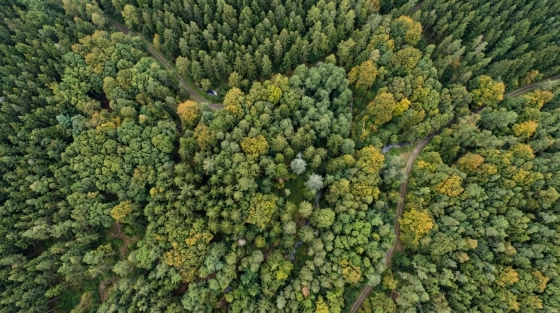 001_aerial-orthophoto-of-dense-czech-mixed