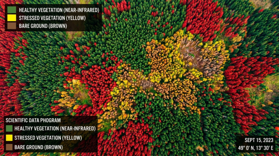 001_aerial-multispectral-view-of-czech-spruce
