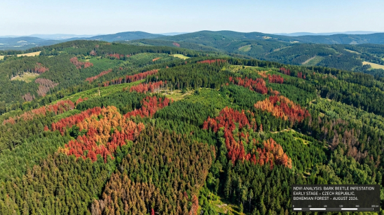 001_aerial-view-of-czech-mountain-forest