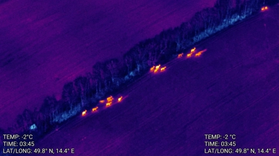 001_bird-eye-thermal-view-of-a