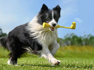 Aportovací tyč na kameru Insta360 GO 3