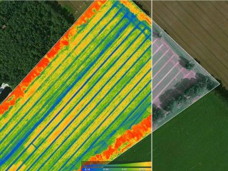 PIX4Dfields - měsíční předplatné