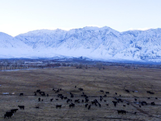 Filtry PolarPro 6-Pack Standard Series pro kamery DJI Zenmuse X7, X5S, X5