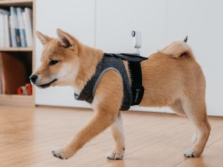 Pet Strap Mount Insta360 Go 2