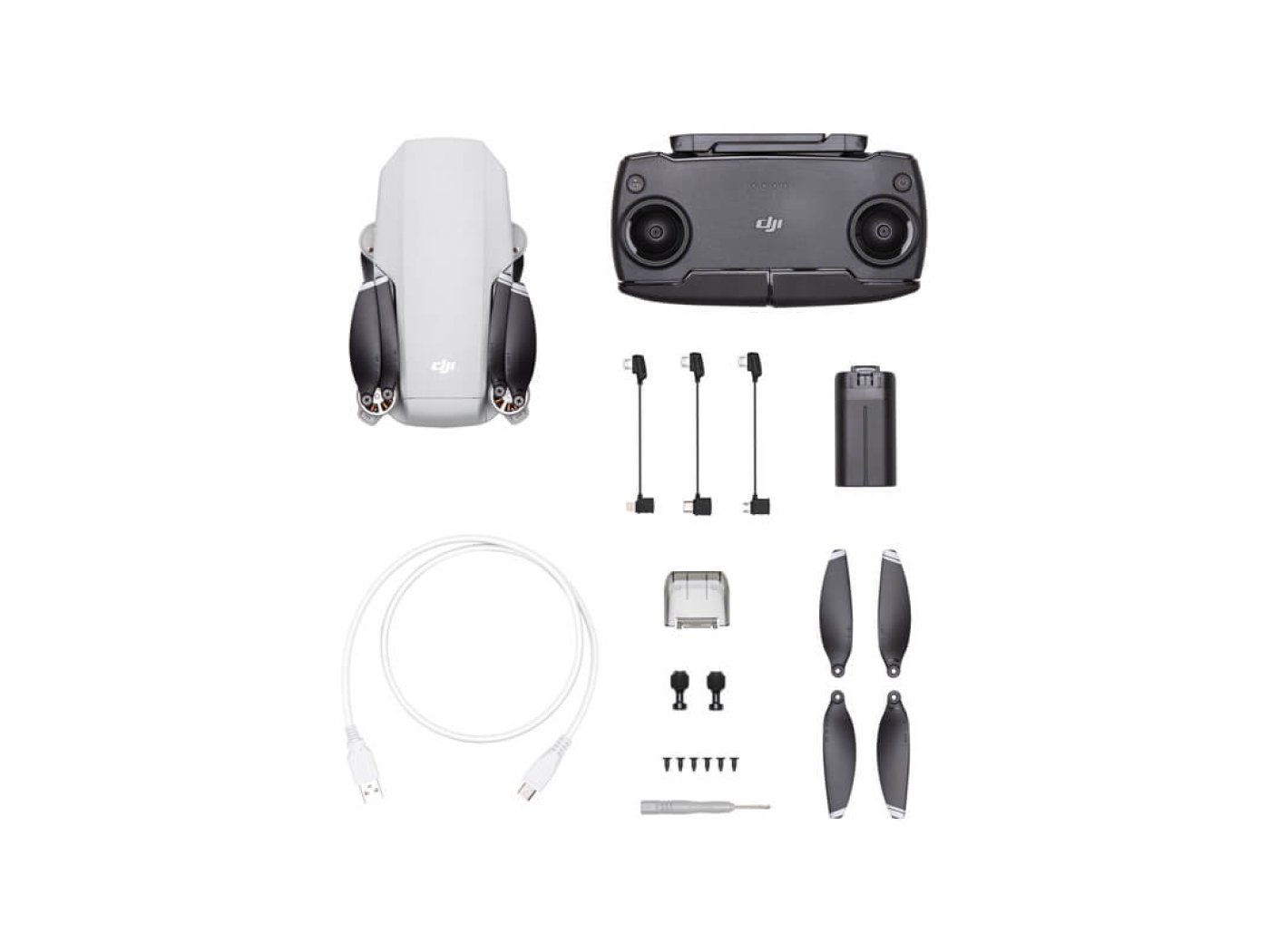 DJI Mavic Mini
